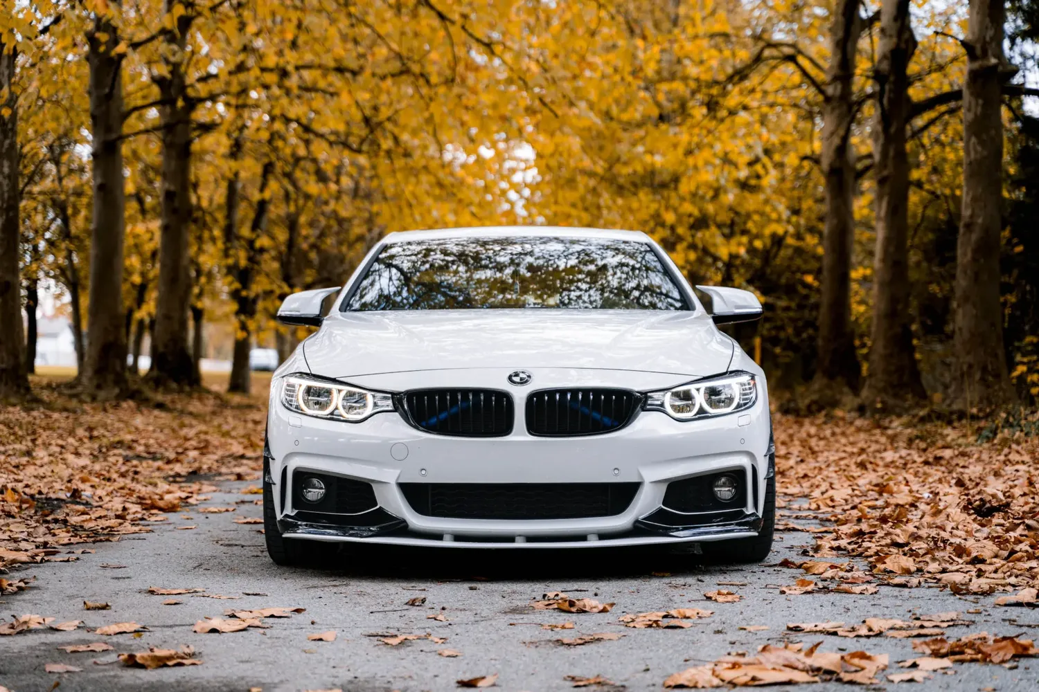 BMW vehicle software update